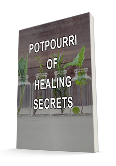 Fast Response Report #2